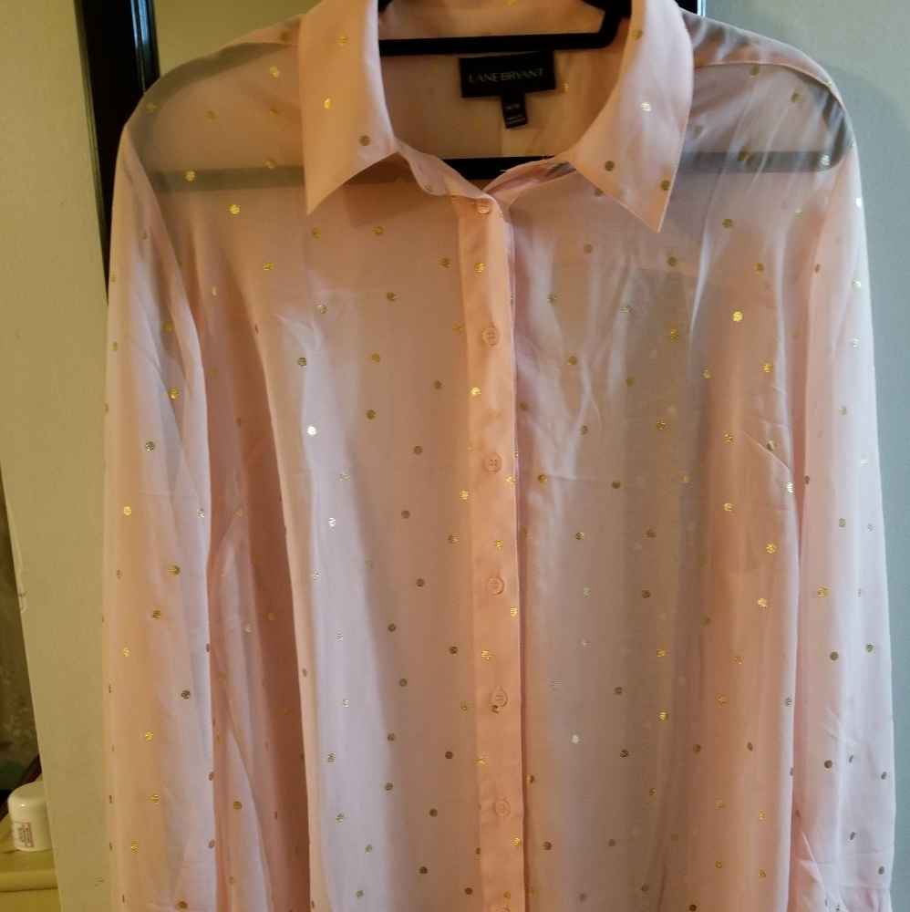 PRICE DROP Sheer Blush LB Gold Accent Blouse 14/16